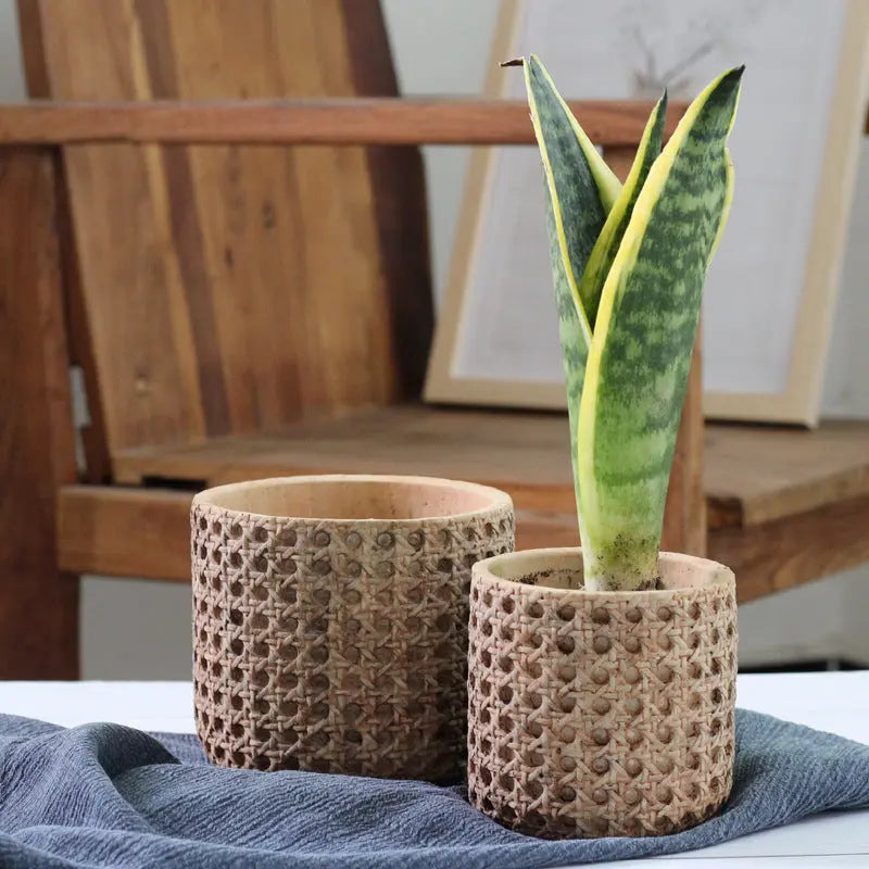 Vintage Cement Flower Pot for Indoor Plant Decor EVERYDAY HARMONY