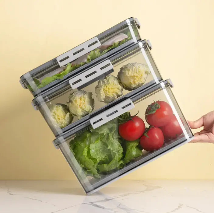 Refrigerator Storage Box EVERYDAY HARMONY